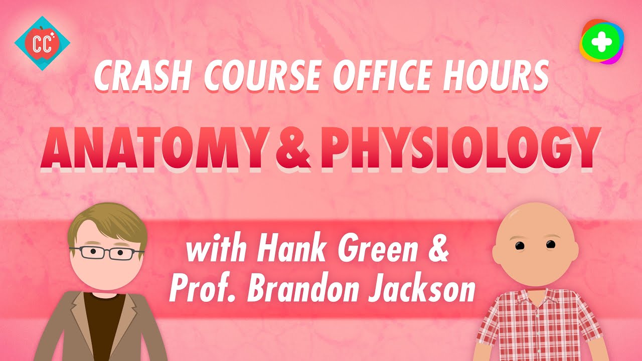 Crash Course Office Hours: Anatomy & Physiology