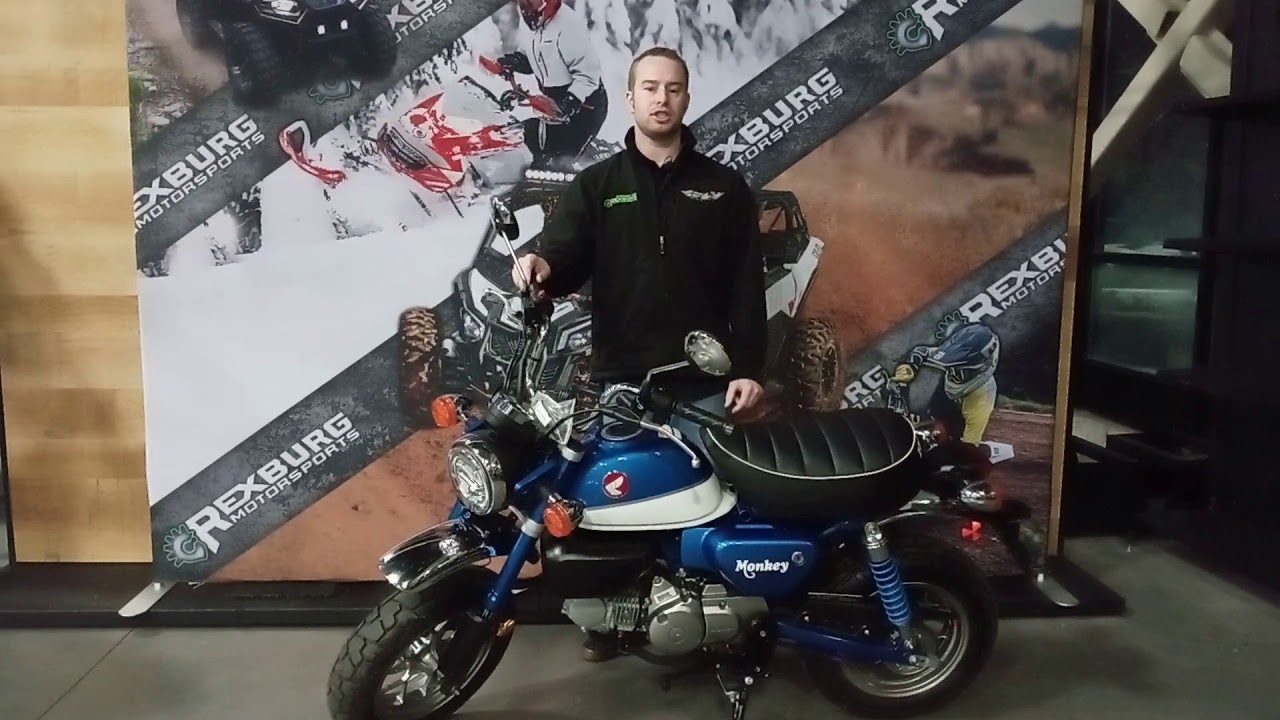 2021 Honda Monkey Overview