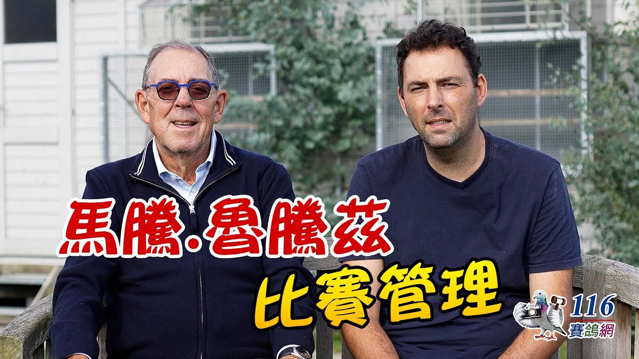 【比賽管理】歐洲比賽鴿舍專題-馬騰.魯騰茲丨【Racing manage】European Racing loft- Leutenez Maarten