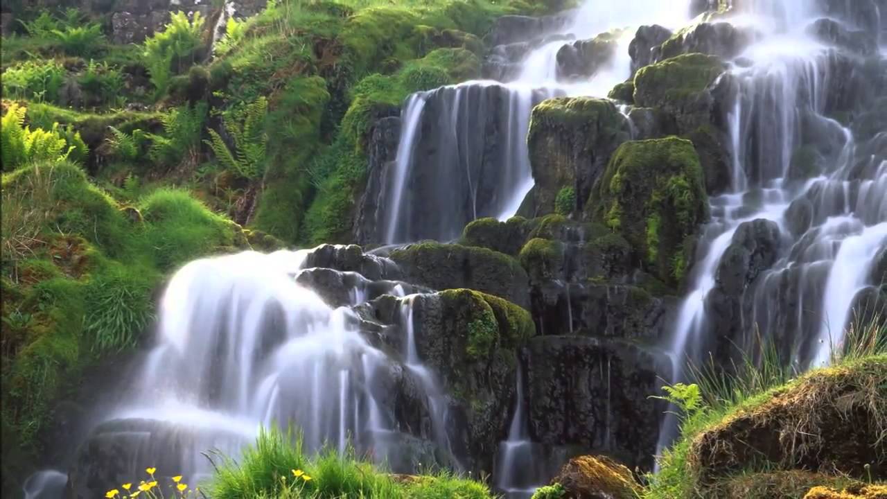 Бернс Роберт  В горах мое сердце