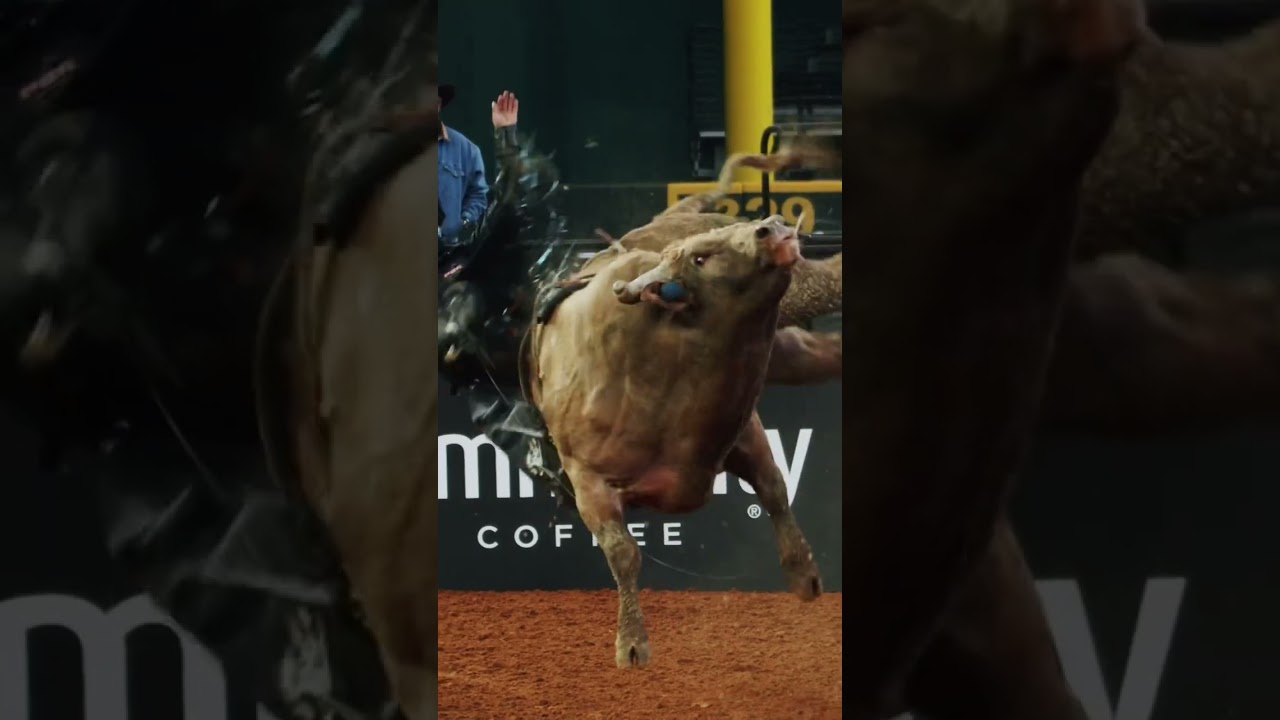 Ways to live a good story: become a bull rider 