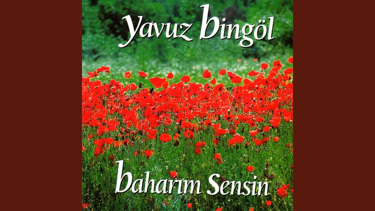 Kırmızı Gül