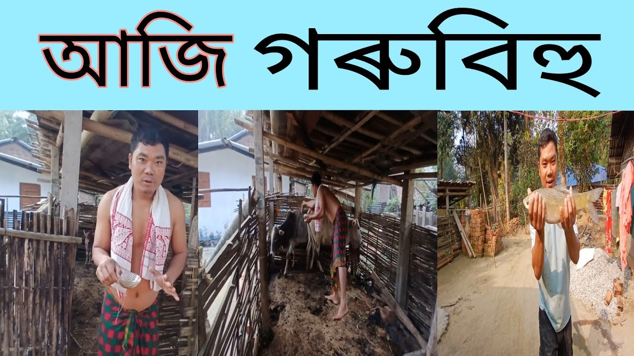 🐂সমূহ অসমবাসী ৰাইজক গৰু বিহুৰ শুভেচ্ছা জনালো