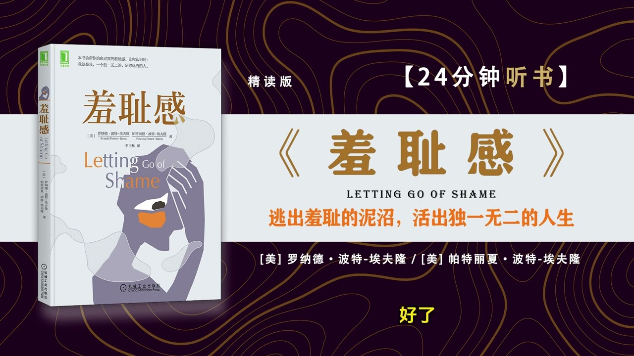讀書-聽書《羞耻感》-创伤治疗，羞耻情绪的调节，治愈过度的羞耻感，活出生命的意义 。治愈羞耻感的指导原则。心理学书籍。