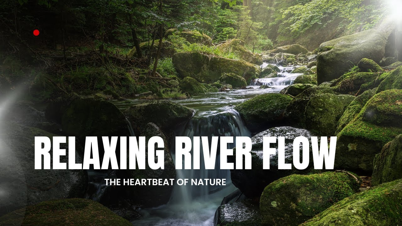 Relaxing River Flow 🌿 Nature Sounds for Sleep, Yoga & Meditation