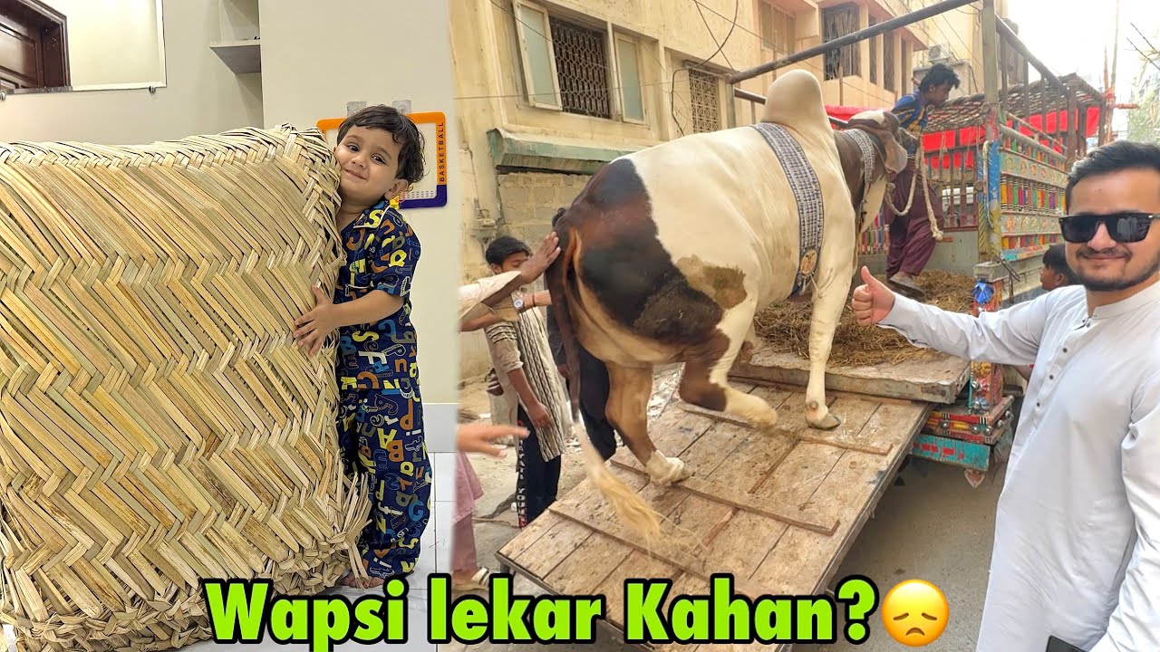 Janwar ko akhri din wapsi lekar chale Gaye😩 | Eid ki katai ka sara saman agaya😍