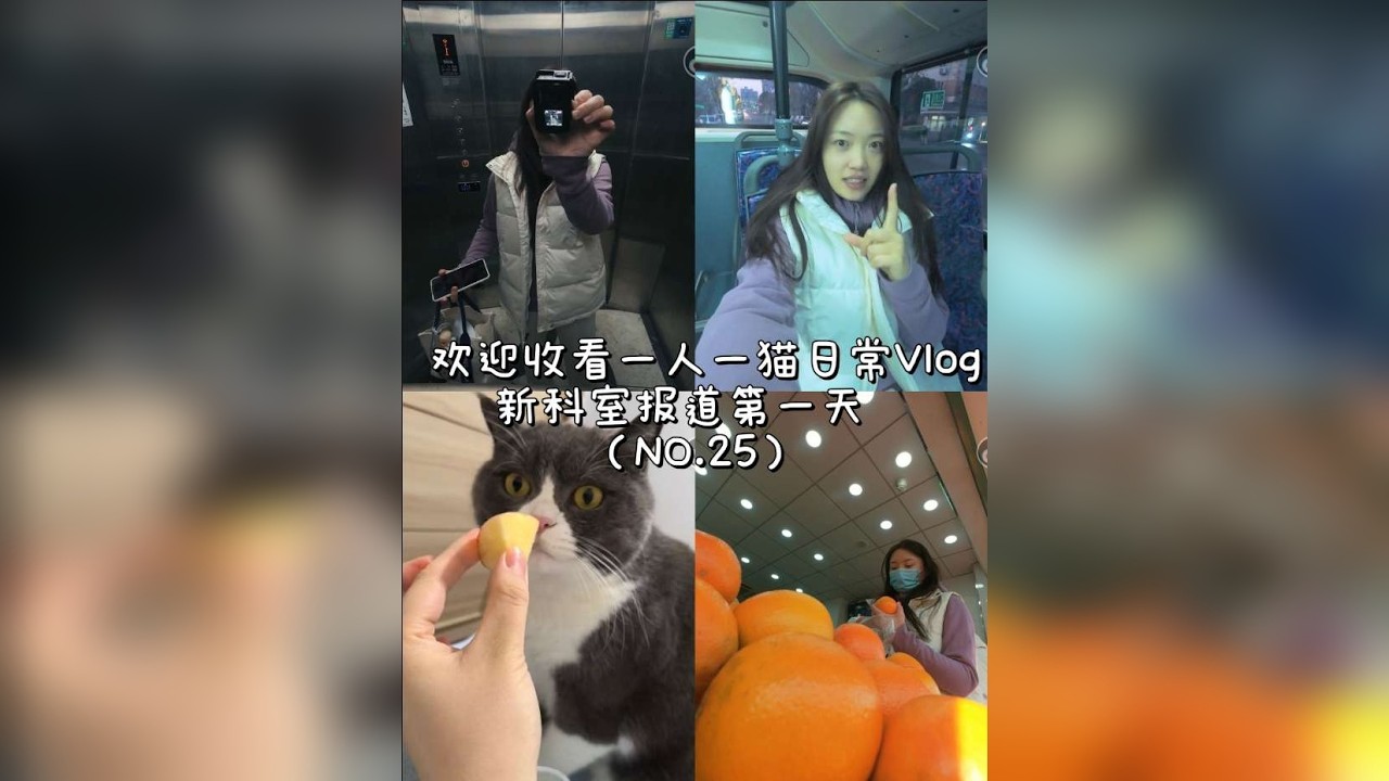 #vlog日常 #第一视角 #猫咪 #vlog十亿流量扶持计划