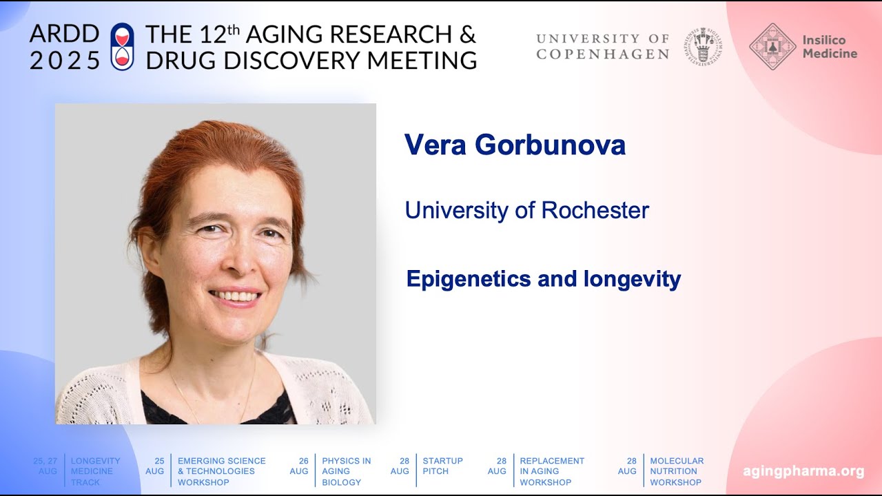 Vera Gorbunova at ARDD2025: Epigenetics and longevity