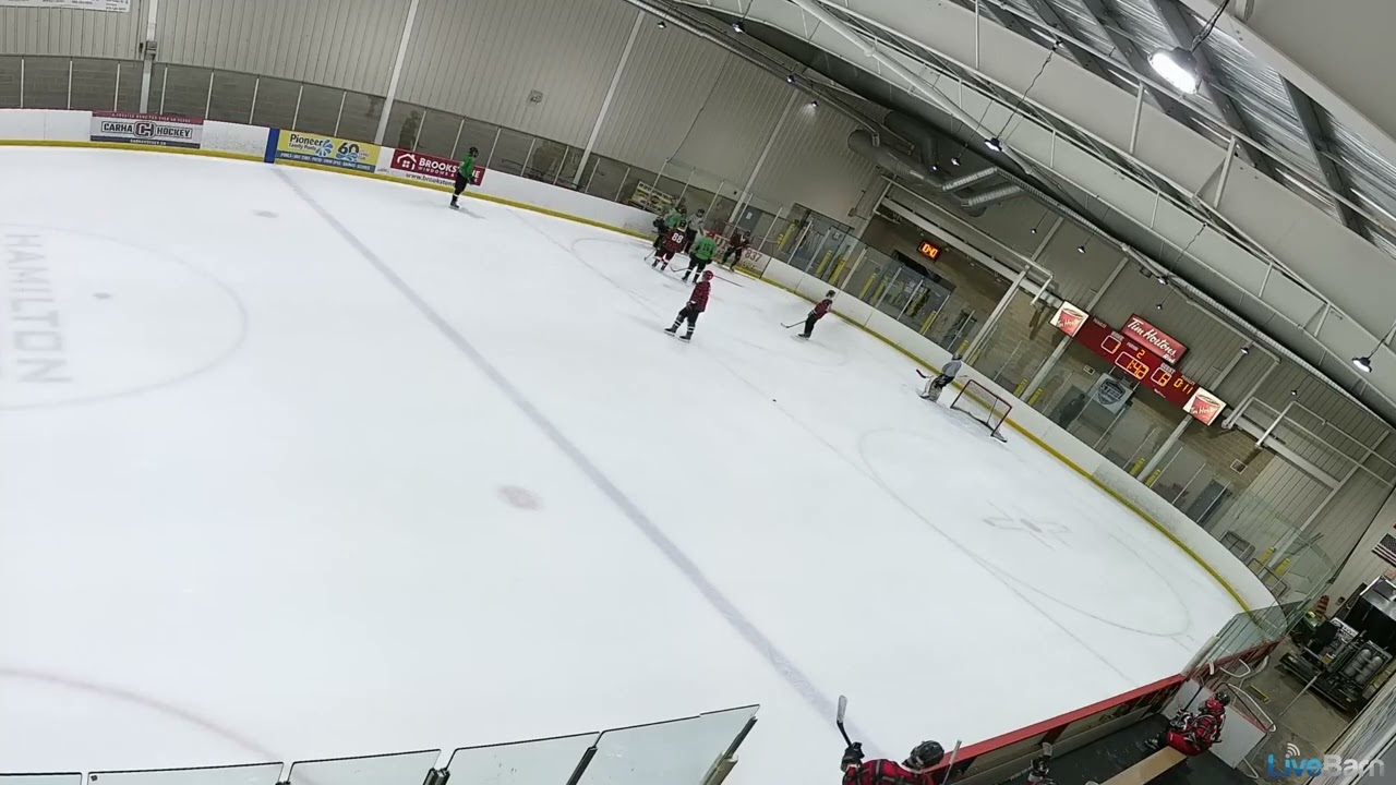 Beer League Hockey Fight