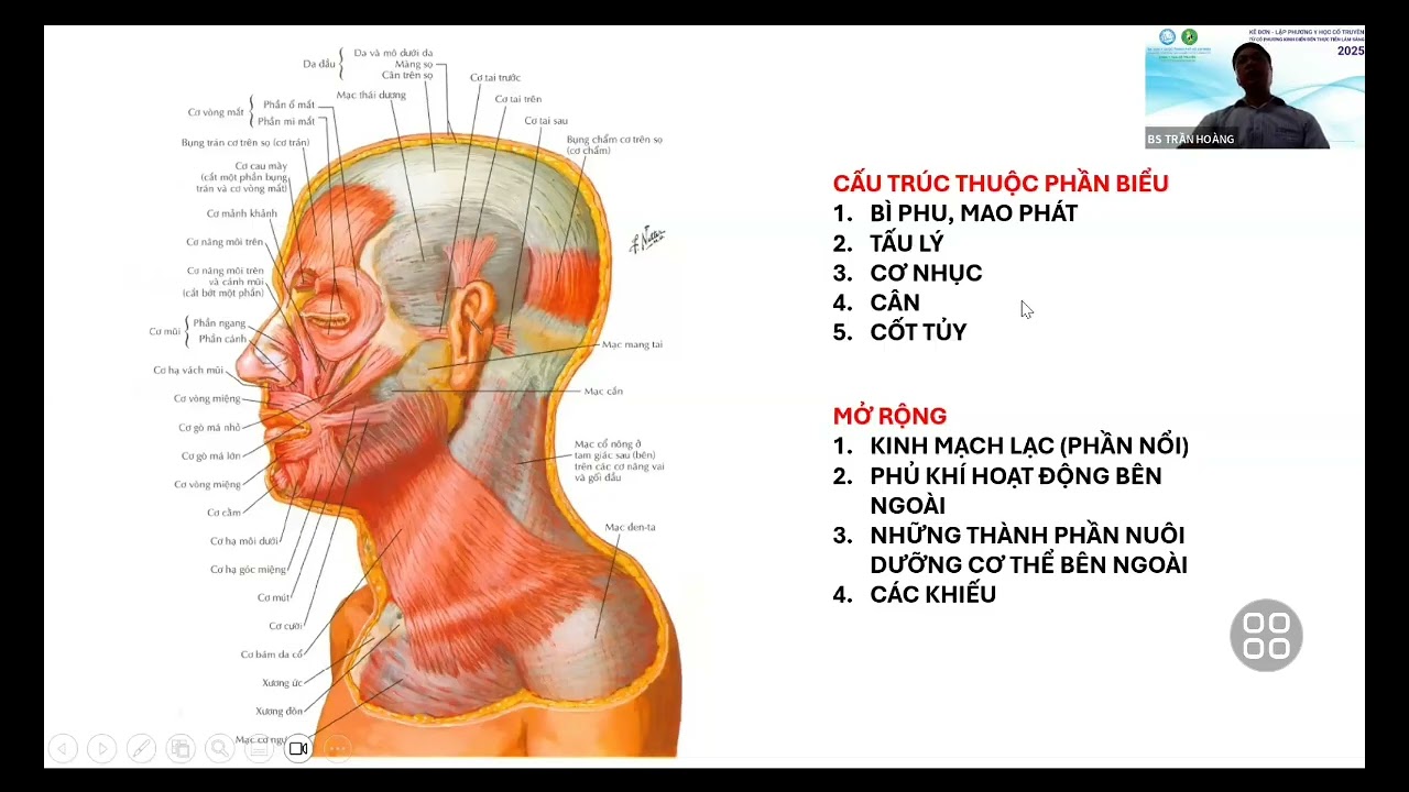 LẬP PHƯƠNG GIẢI BIỂU 1 THS.BS. TRẦN HOÀNG