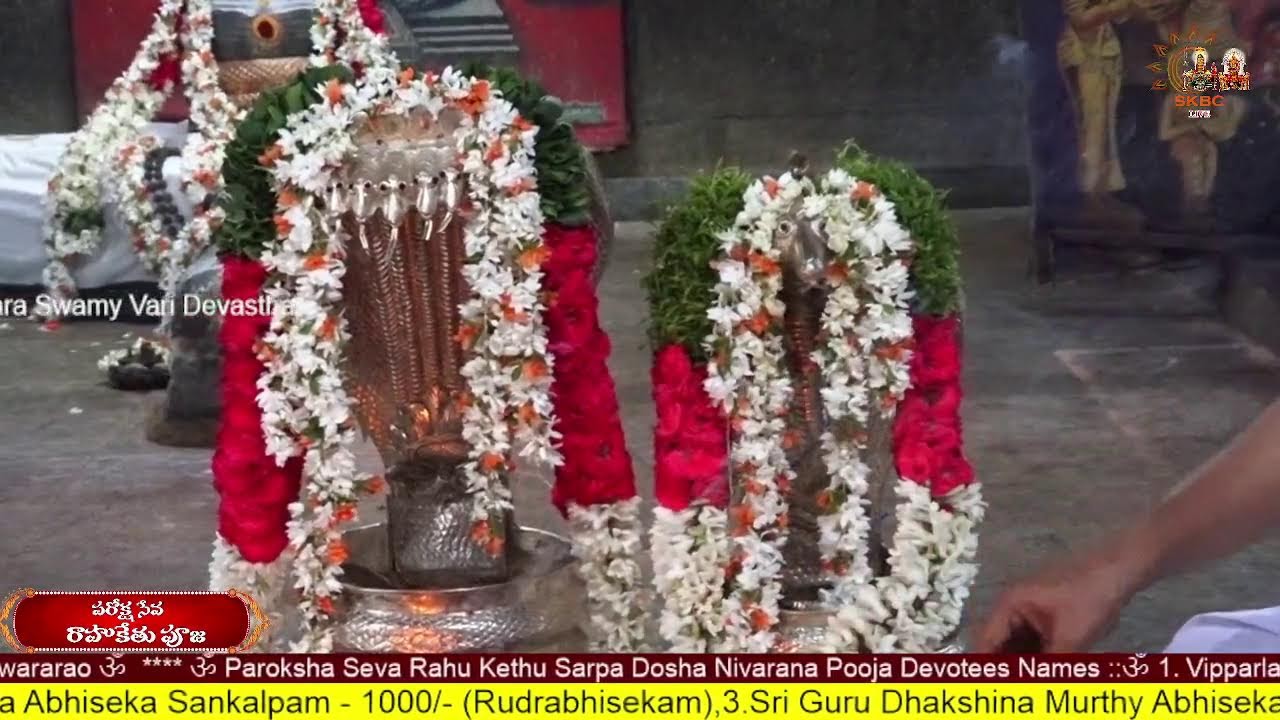 Paroksha Seva Rahu Kethu Pooja 08.03.2026