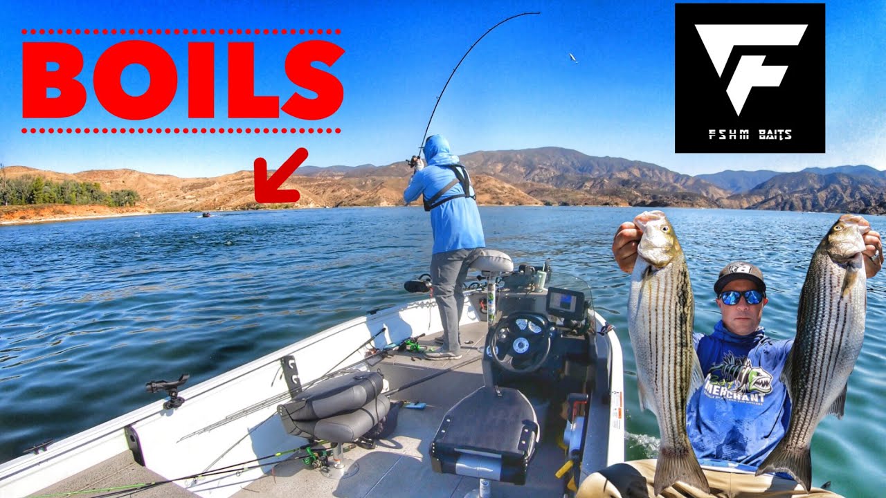 Striper Boils, Trolling and Topwater Bass!-Castaic Lake