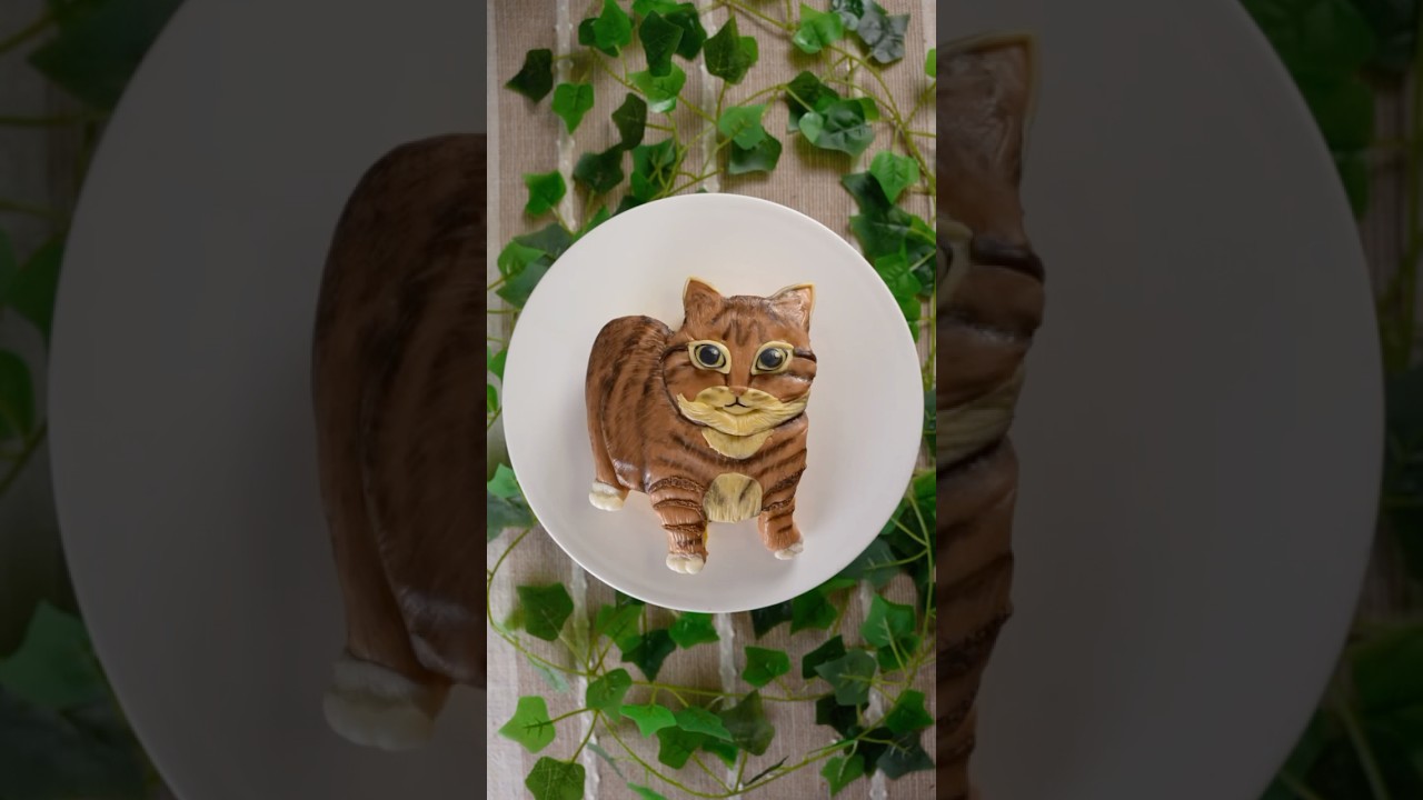 ✨O I I A✨ spinning cat meme cake 🐈🌀 #cat #meme #cake #shorts