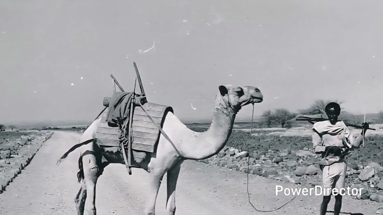 Yoh xineh kaltam....Haroun Daoud Houmed..