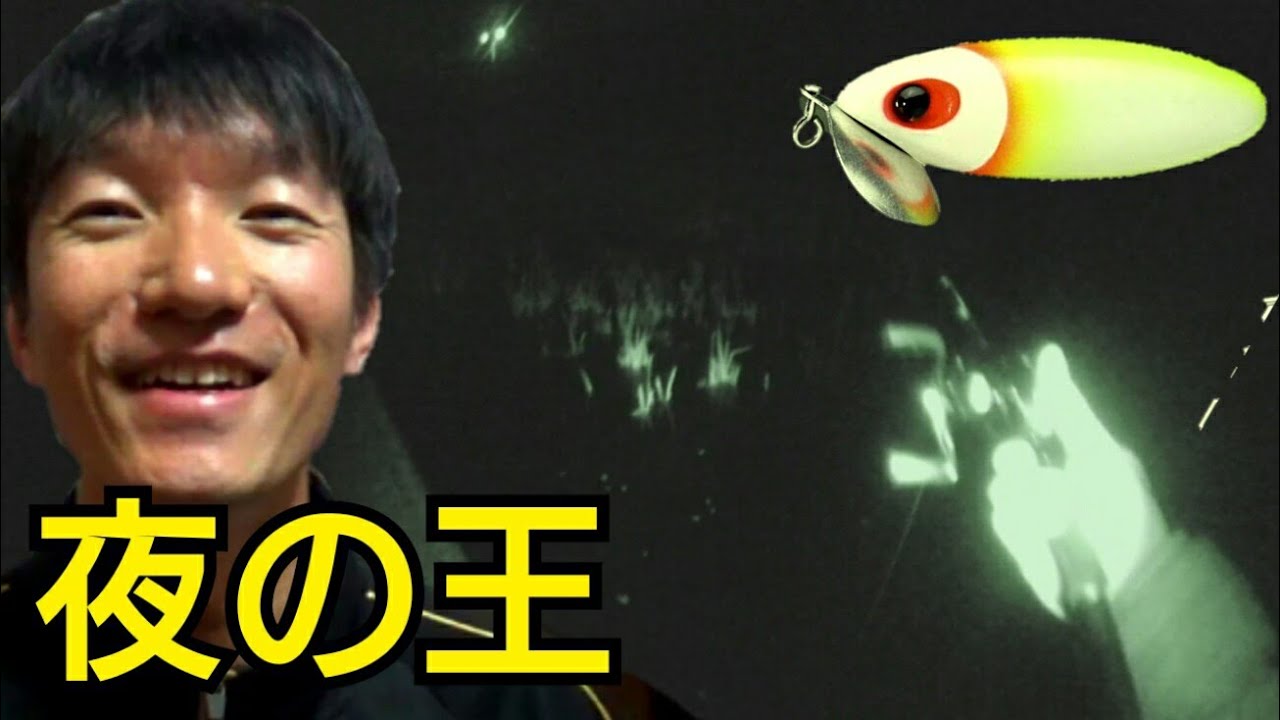 トップウォーターで狙う最高のターゲット！