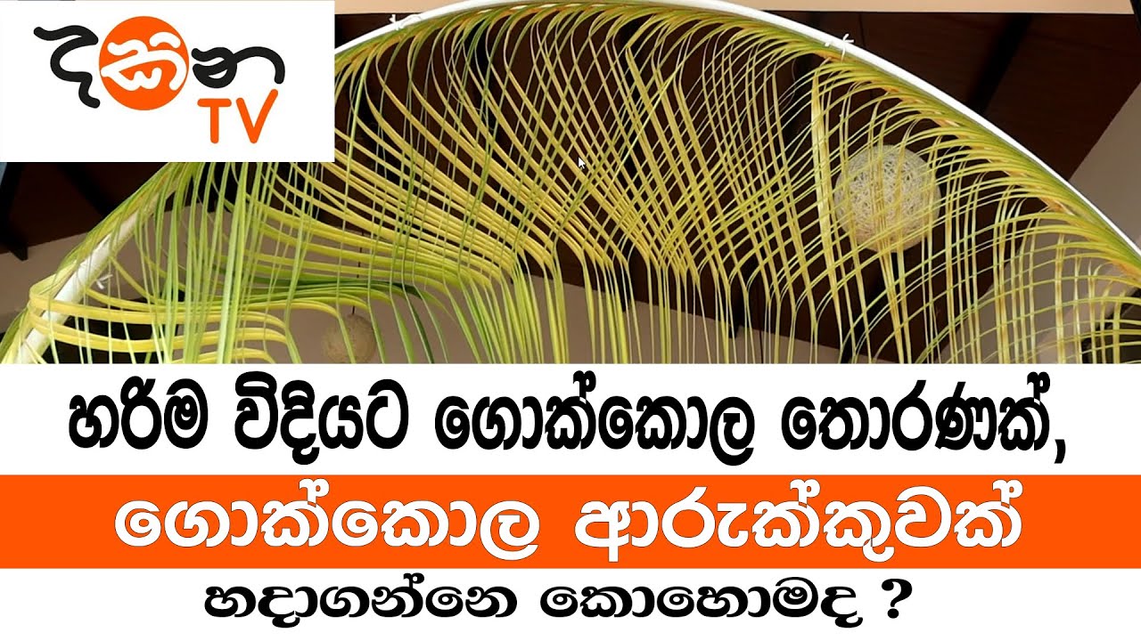 හරිම විදියට ගොක්කොල තොරණක්, ගොක්කොල ආරුක්කුවක් හදාගන්නෙ කොහොමද ?