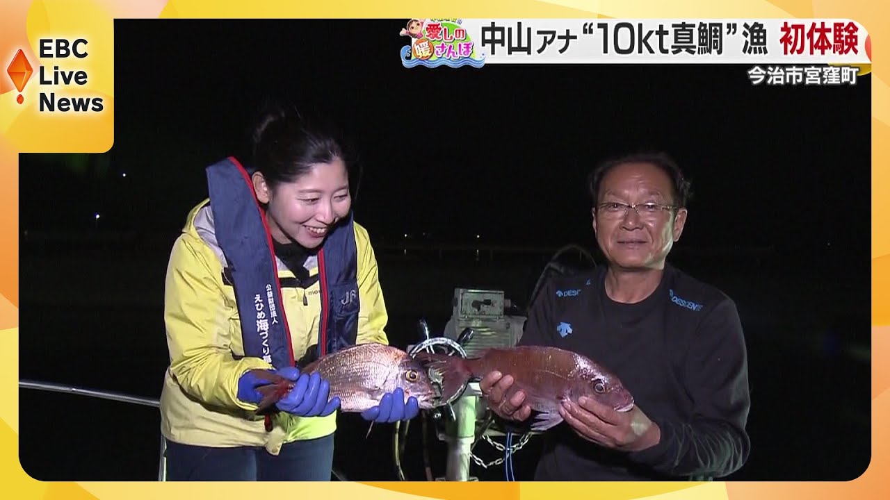 【媛さんぽ】激流育ちの究極真鯛求めて今治市宮窪町を訪ねました