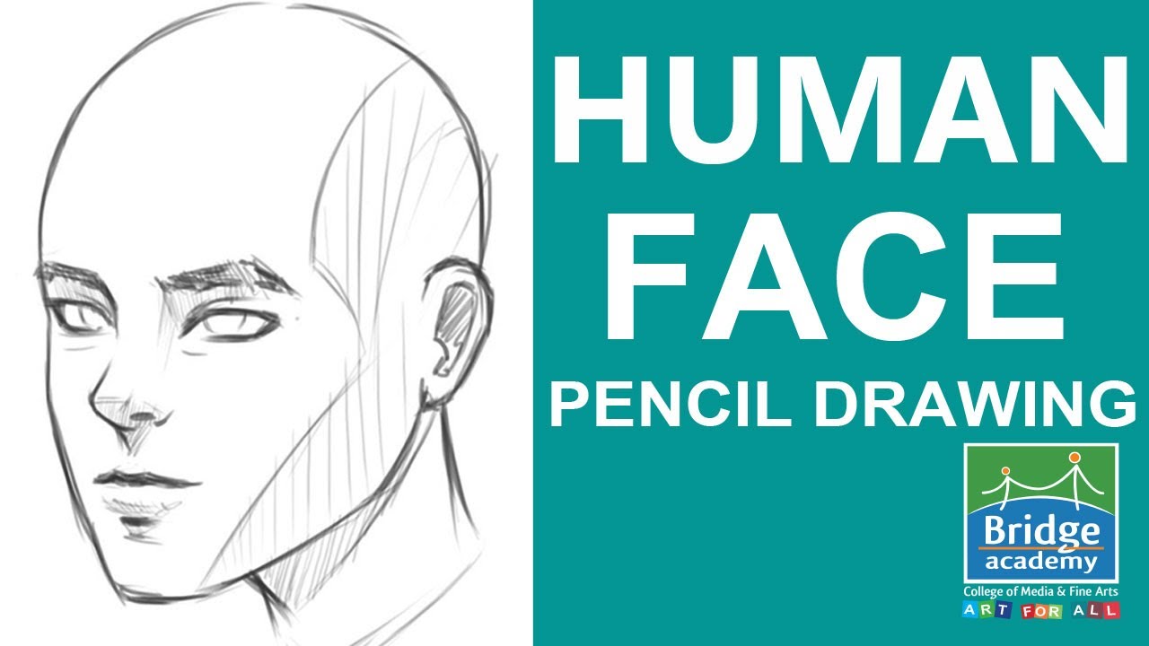 Draw with us: Human Face Drawing Tutorial for Beginners | Anatomy Drawing | Bridge Academy
