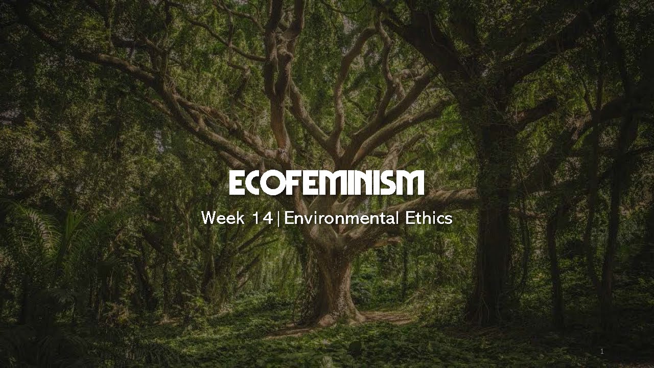 Environmental Ethics | Plumwood's Ecofeminism