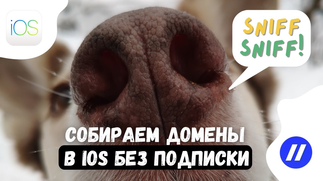 Узнаём домены, к которым обращаются приложения в iOS с помощью Network Sniffer