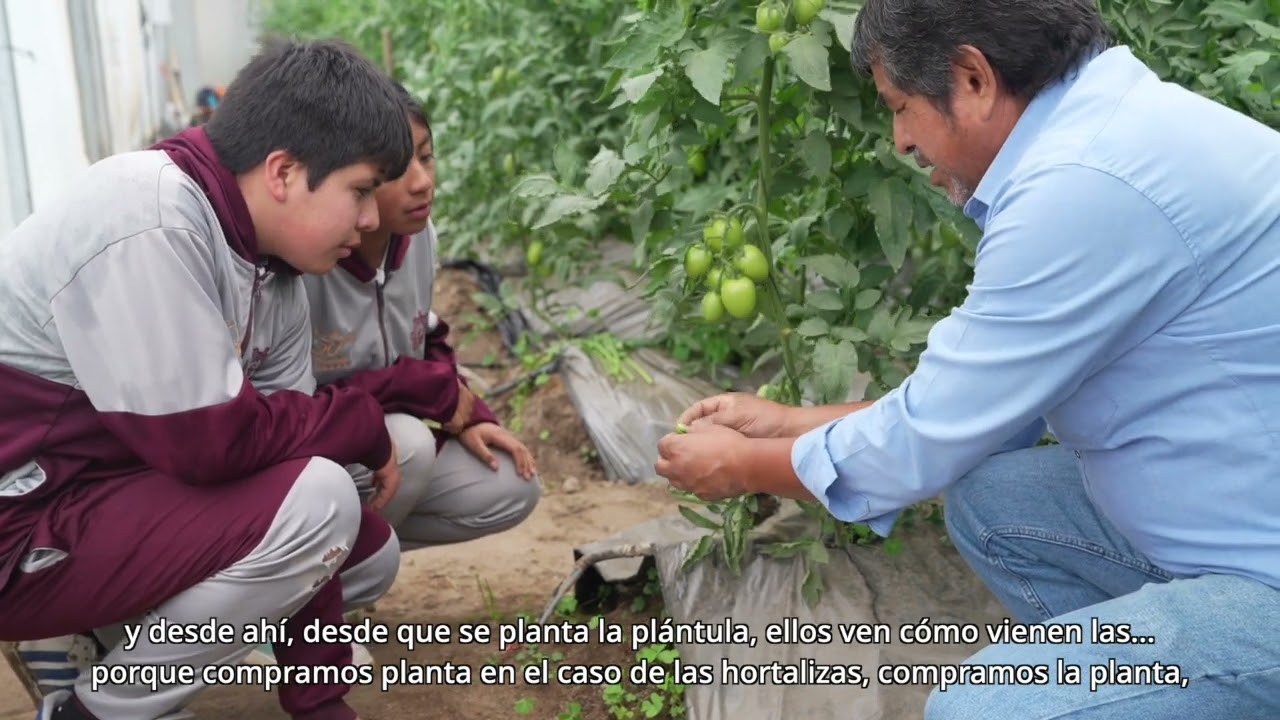Metodologías de proyectos (Huertos escolares)