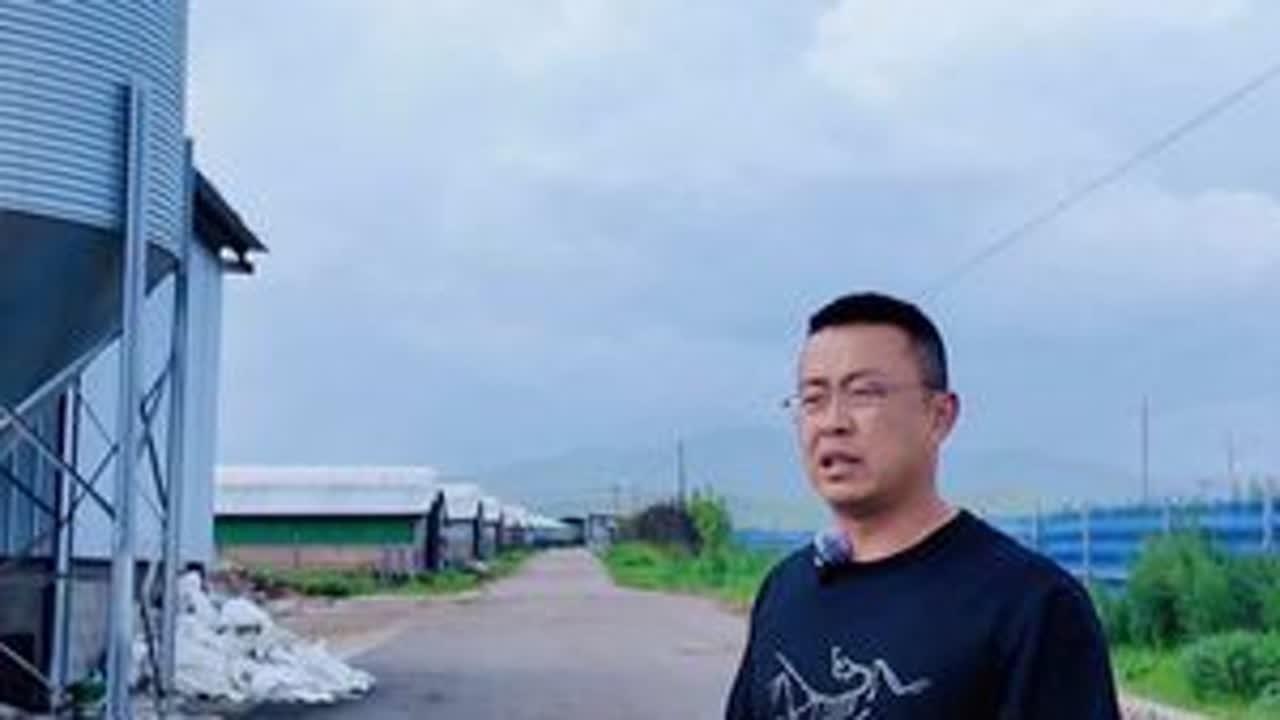 #vlog日常 #抖音新农人 牛场日常饲养方式#我的乡村生活 #三农 #vlog十亿流量扶持计划