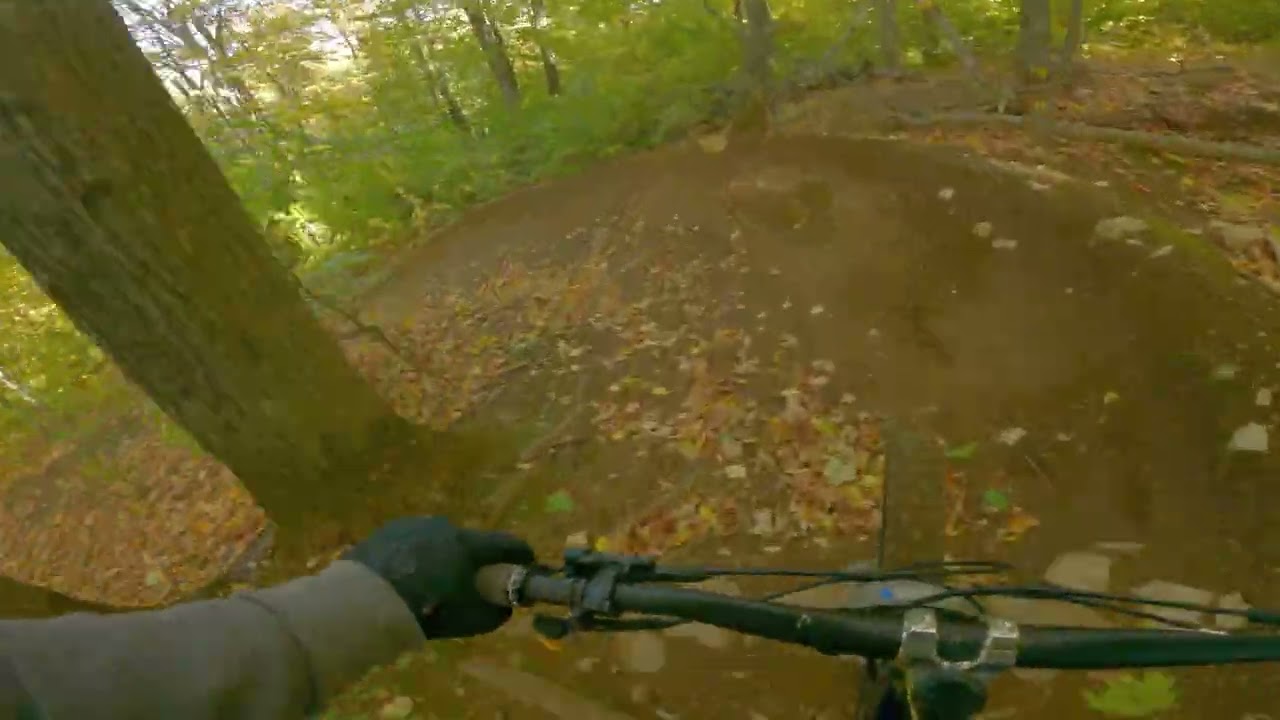 MSS Bike Park