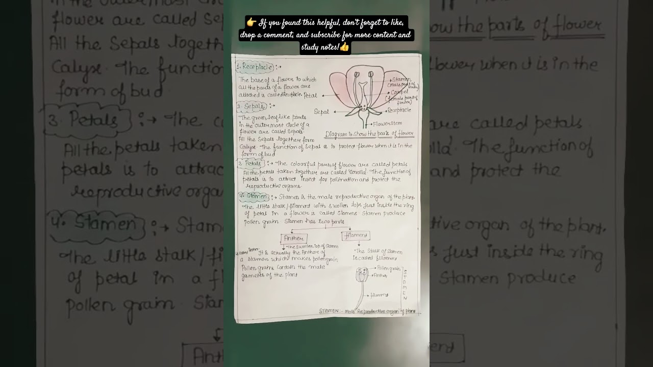 #class10biology