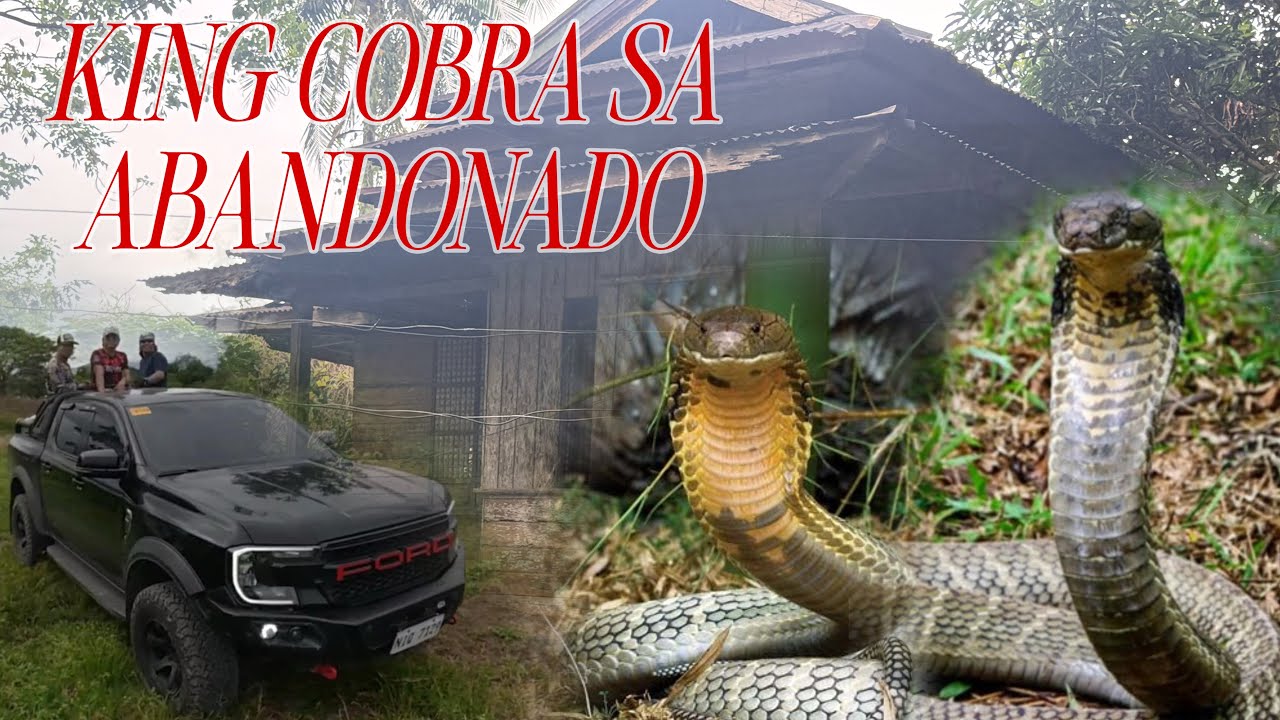 MAG ASAWANG KING COBRA SA ABANDONADONG BAHAY#cobraprince 