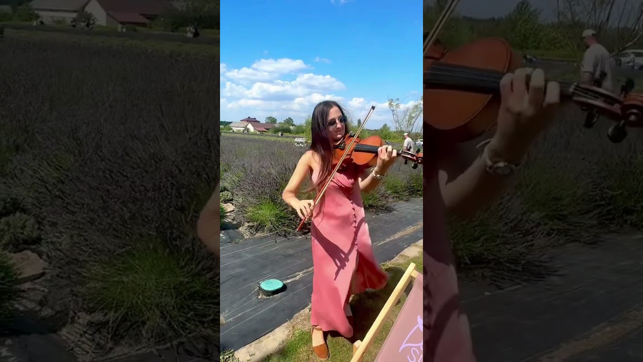 Violin vs. wind 😀 