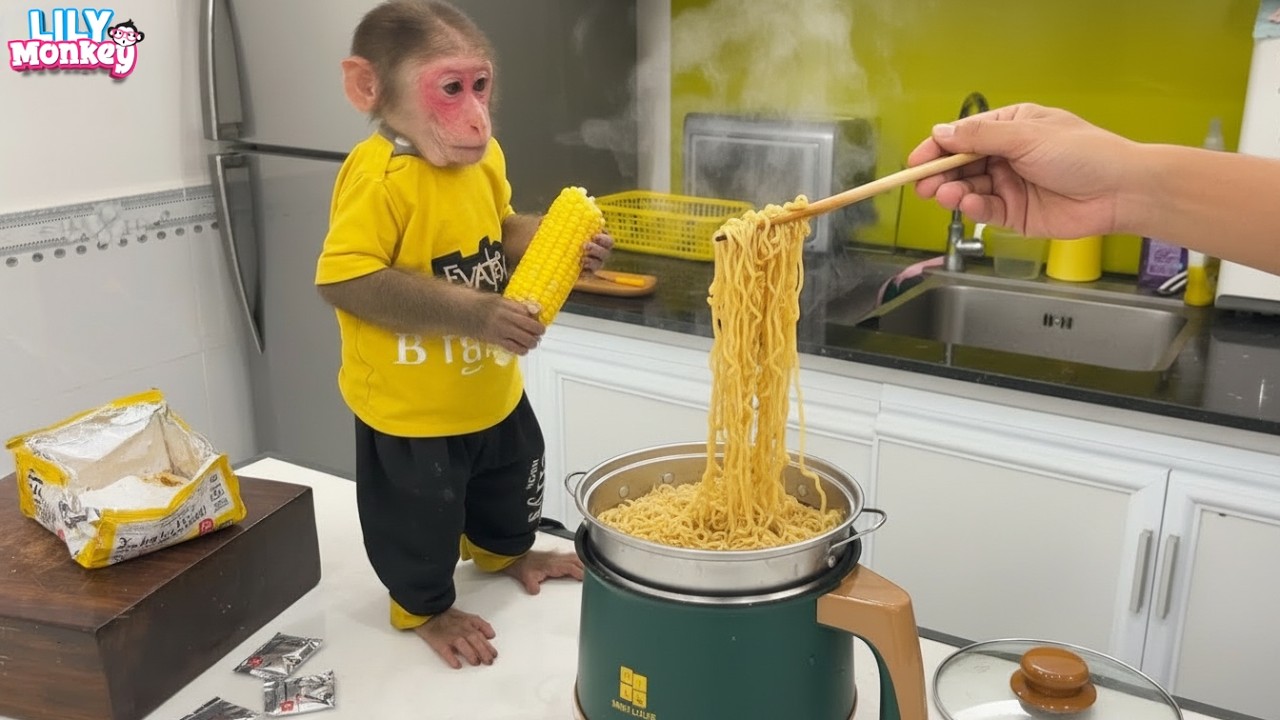 Good girl Lily helps dad prepare a surprise breakfast | Lily's story