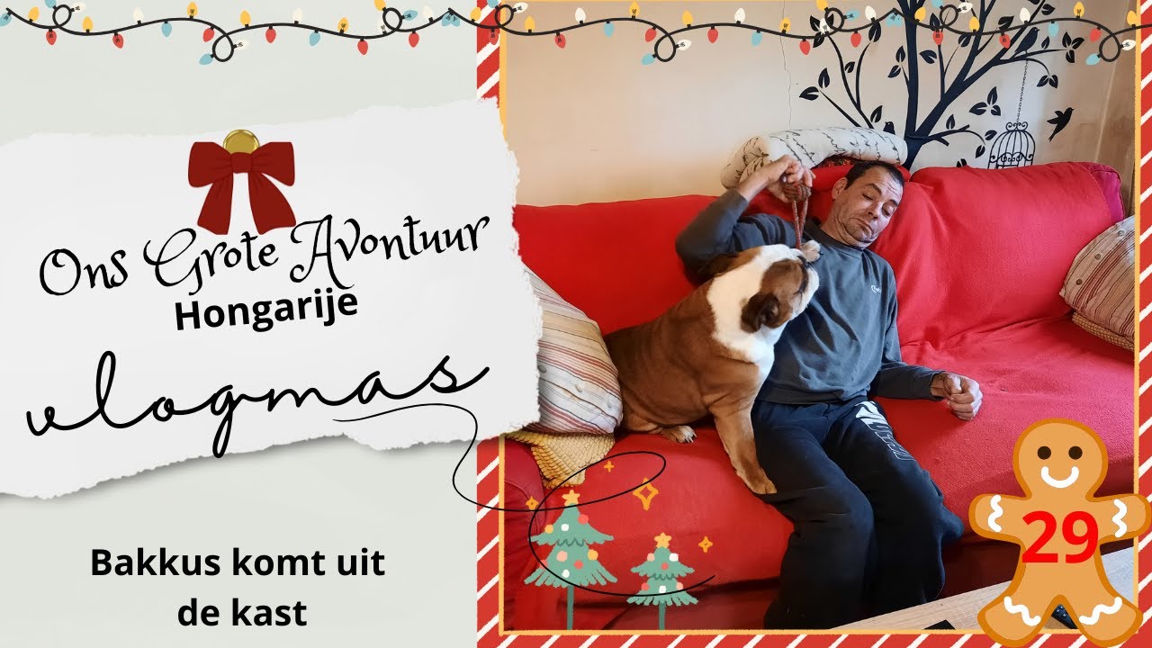 Genieten Van Een Rustige Kerst | wonen in Hongarije | Vlogmas {25} #29