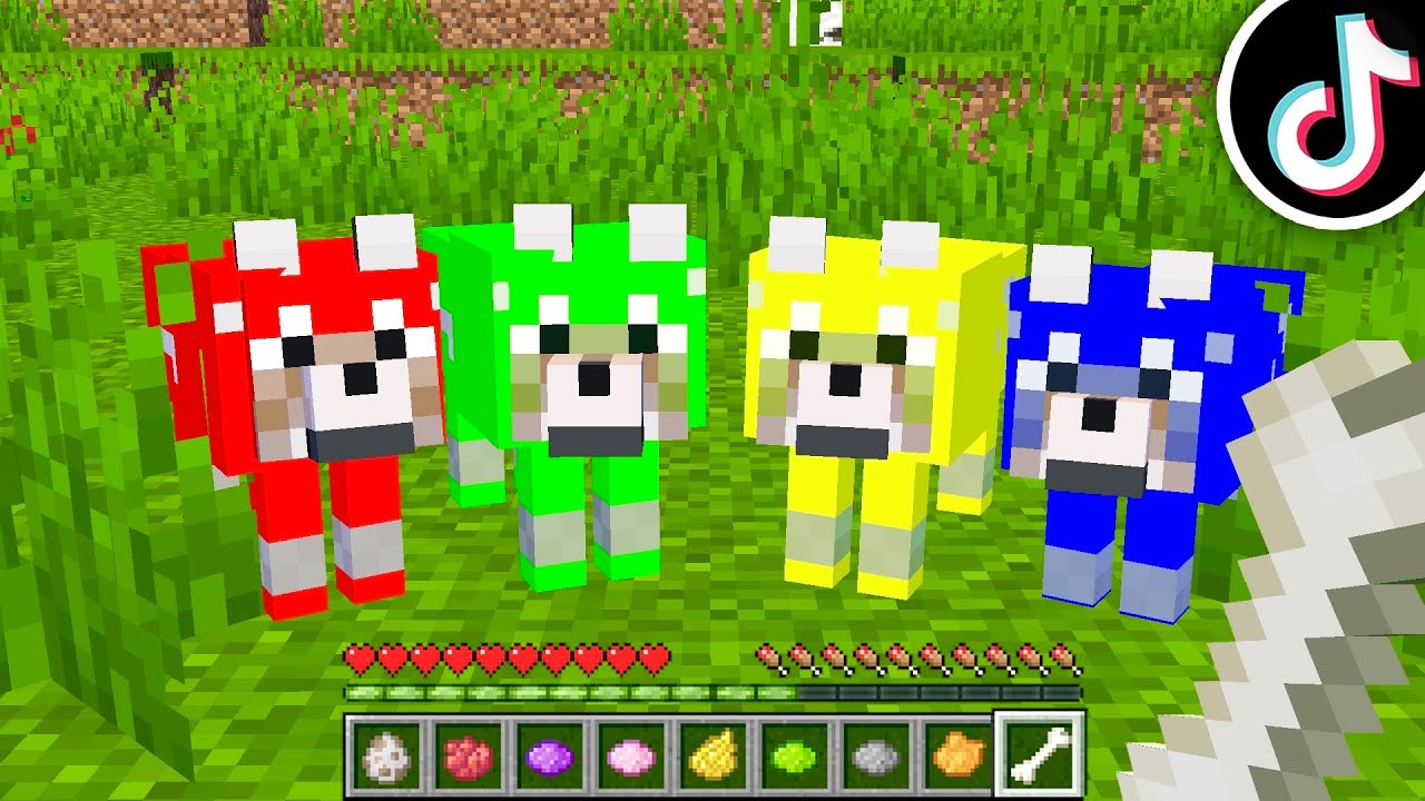 Minecraft Triky které 100% FUNGUJÍ