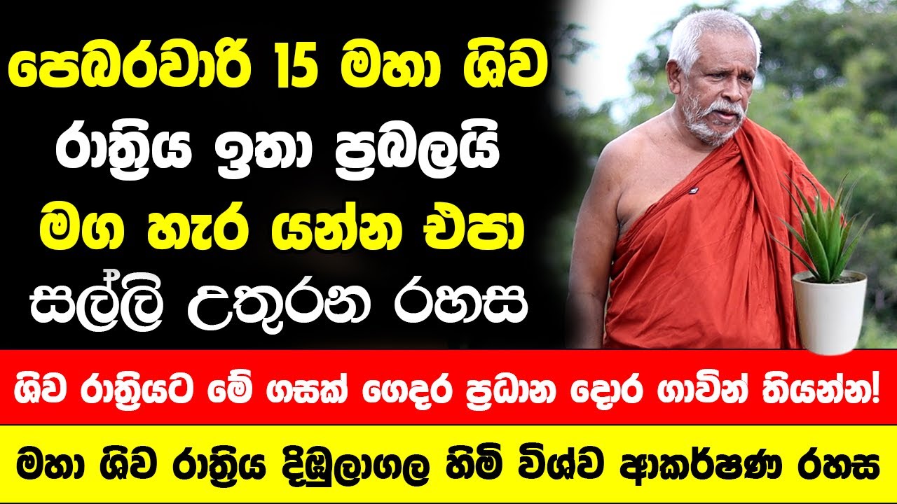 පෙබරවාරි 15 මහා ශිව රාත්‍රිය මග හැර යන්න එපා🔴ශිව රාත්‍රියට මේ ගසක් ගෙදර ප්‍රධාන දොර ගාවින් තියන්න!