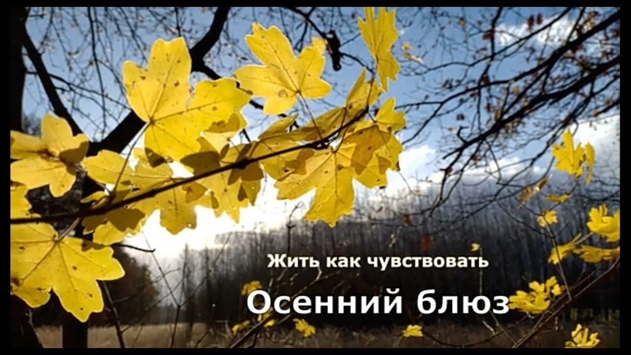 Жить как чувствовать. Осенний блюз