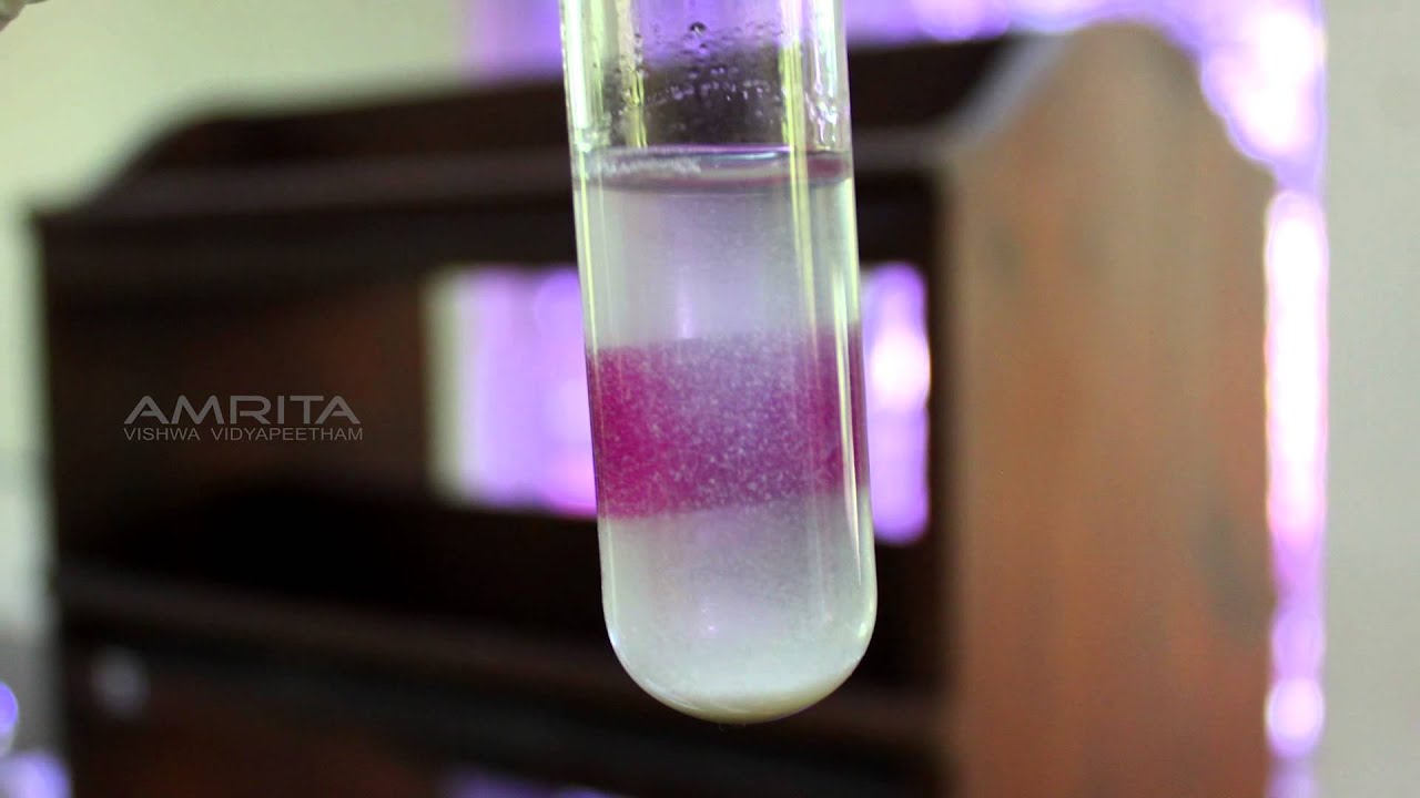 Distinguishing Between Solutions - MeitY OLabs