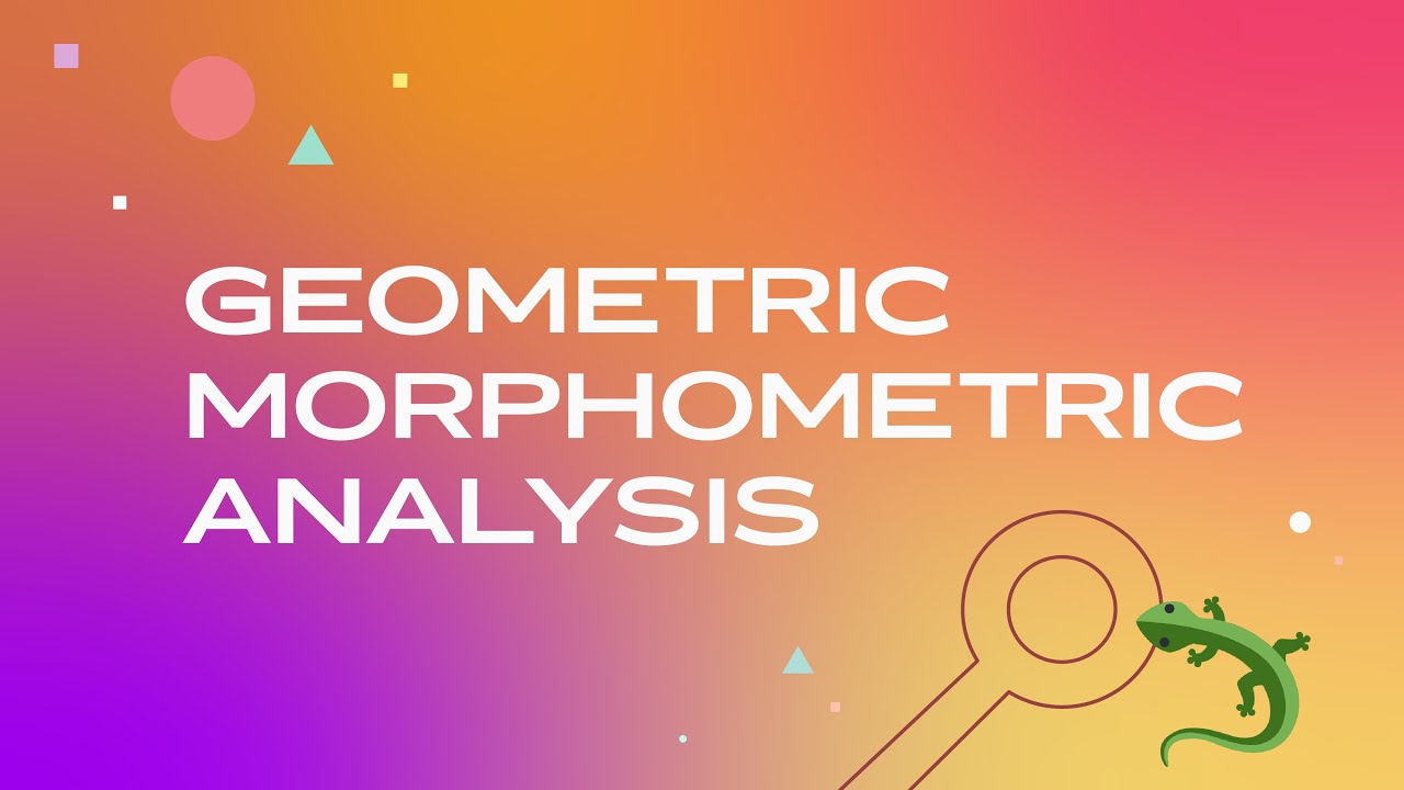 Geometric Morphometric Analysis
