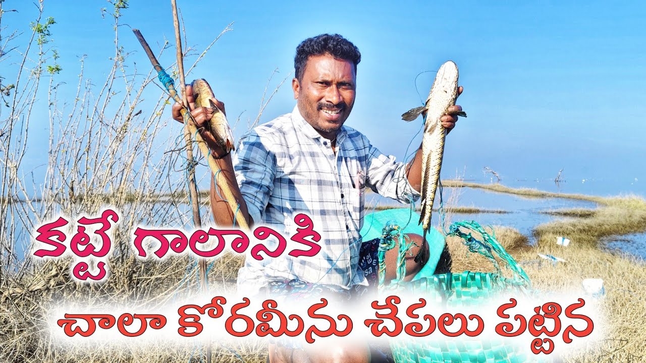 కట్టే గాలానికి చాలా వరమేనులు పట్టిన 🐬yatala shankar volgs యాదవ శంకర్ ఫిషింగ్ వీడియో👍