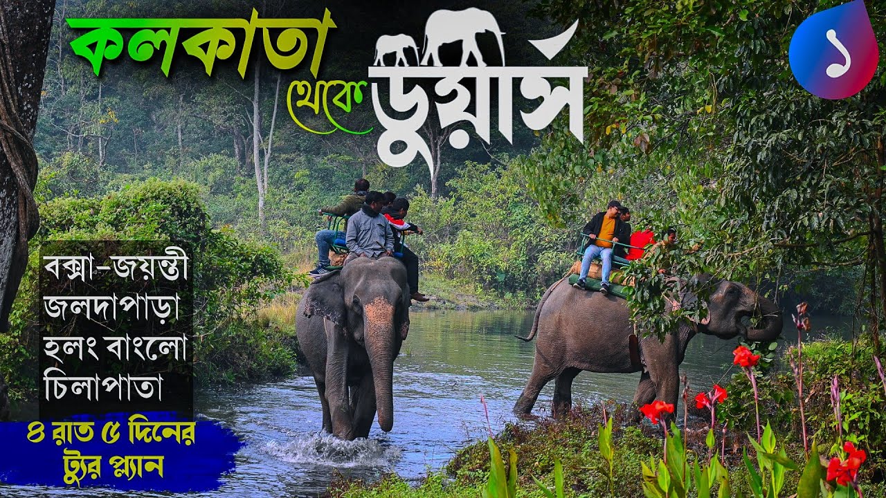 কলকাতা  থেকে ৪ রাত ৫ দিনে ডুয়ার্স | EP 1 | Dooars Tour | Holong Jaldapara | Buxa Jayanti | Chilapata