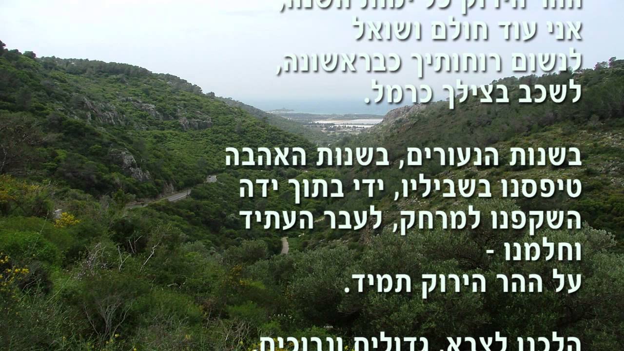 ההר הירוק תמיד