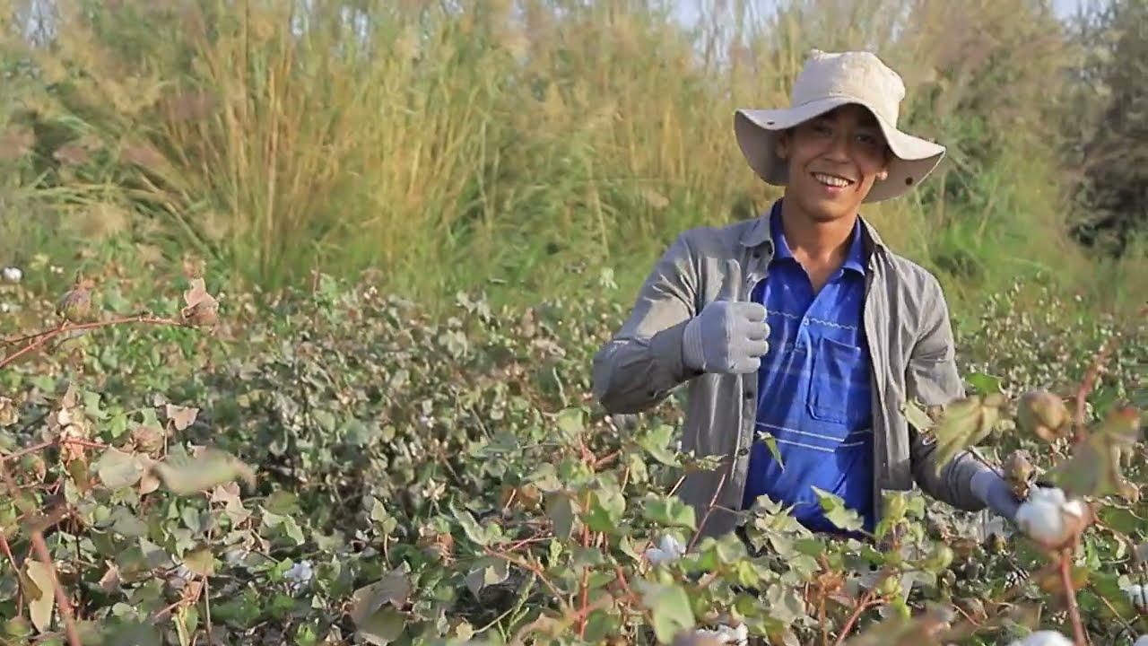 Первоймай / Ҷиликул / Эргаш Султонов / Дусти / 6-бригада / Бригадир- Эргеш Ширгелдиев