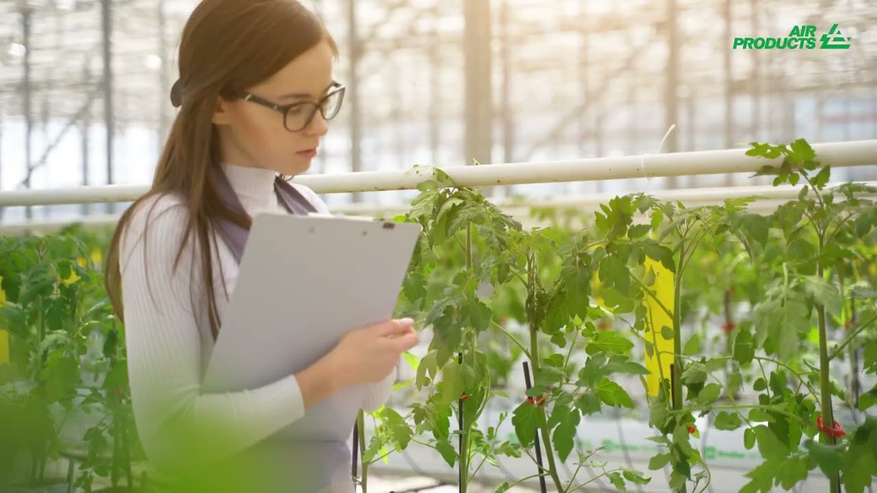 Adding Carbon Dioxide in Greenhouses: Generating a Cleaner Future in Agriculture | Air Products