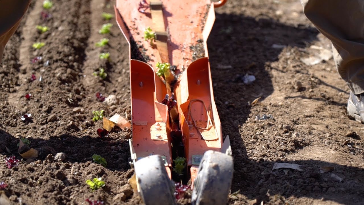 Bed Prep and Transplanting with the Paper Pot Transplanter