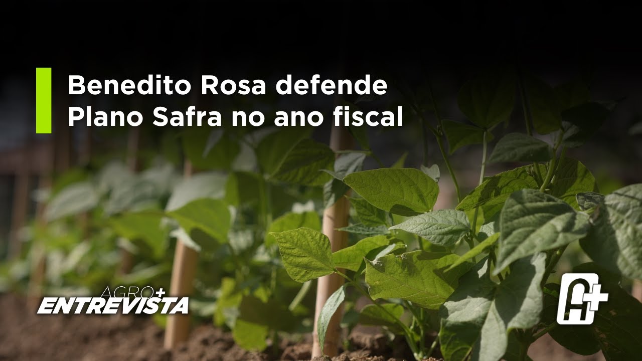 Ex-secretário do MAPA defende reformulação profunda do Plano Safra