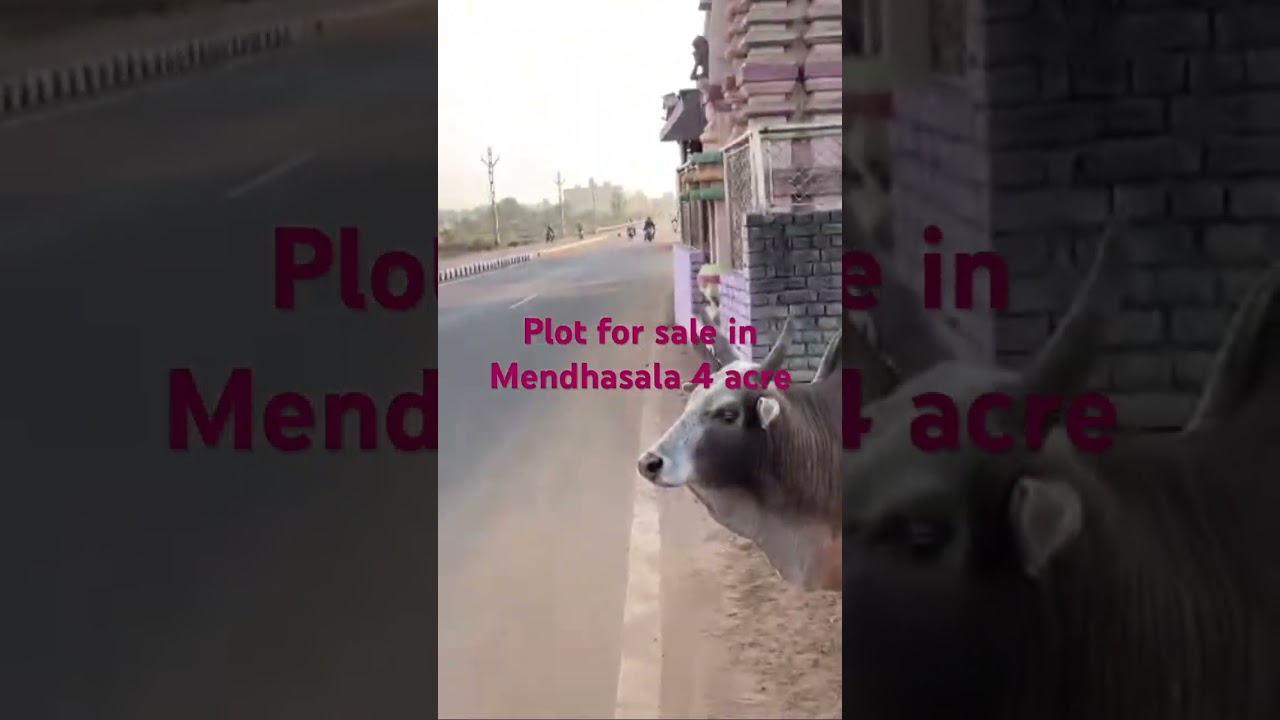 Plot for sale in Mendhasala 4 acreland#affordableplots #bhubaneswar #lowcostplots #odisha #farmhouse