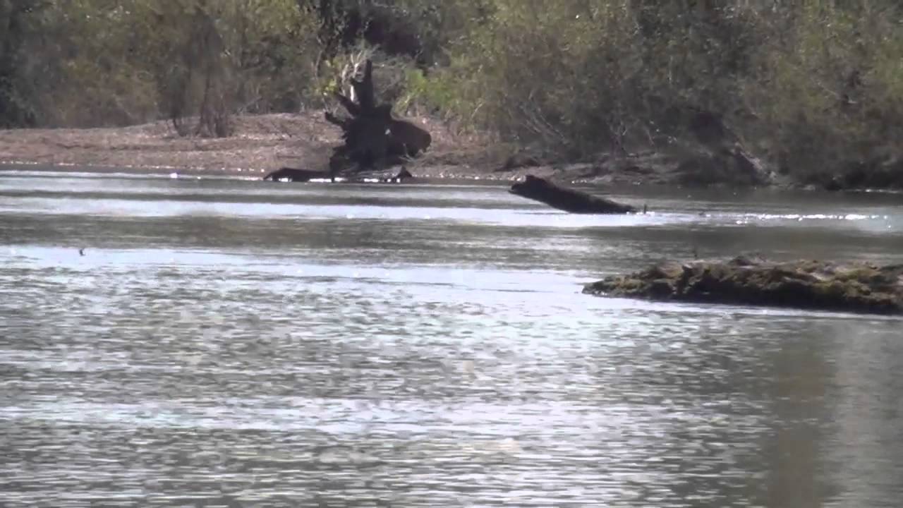 Tangipahoa River