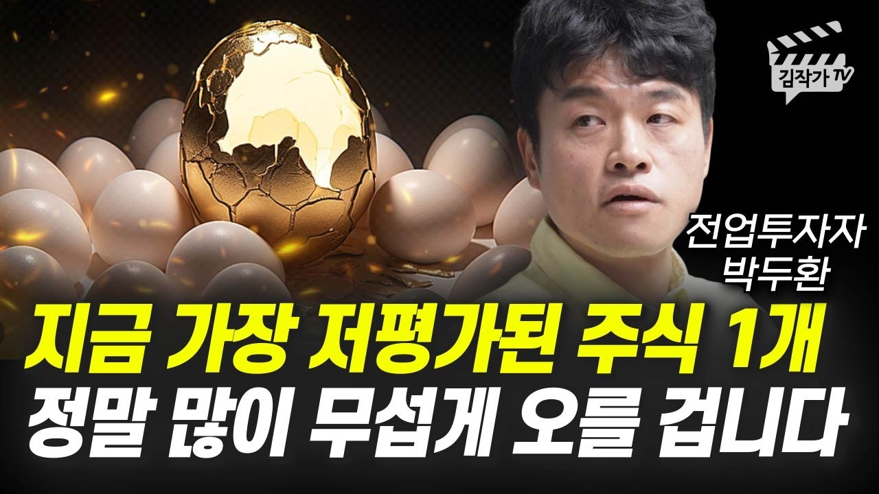 지금 가장 저평가된 주식 1개, 정말 많이 무섭게 오를 겁니다 (전업투자자 박두환)