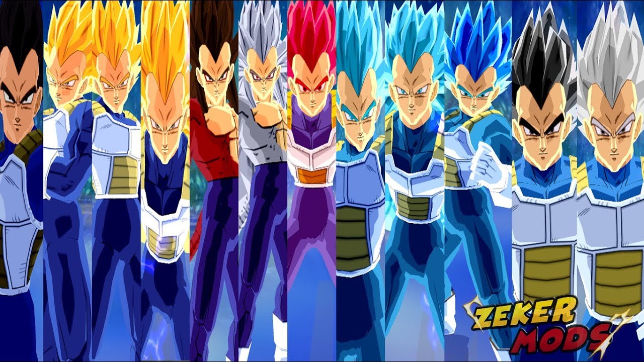 Vegeta DBS Costume All Transformations | Dragon Ball Z Budokai Tenkaichi 3