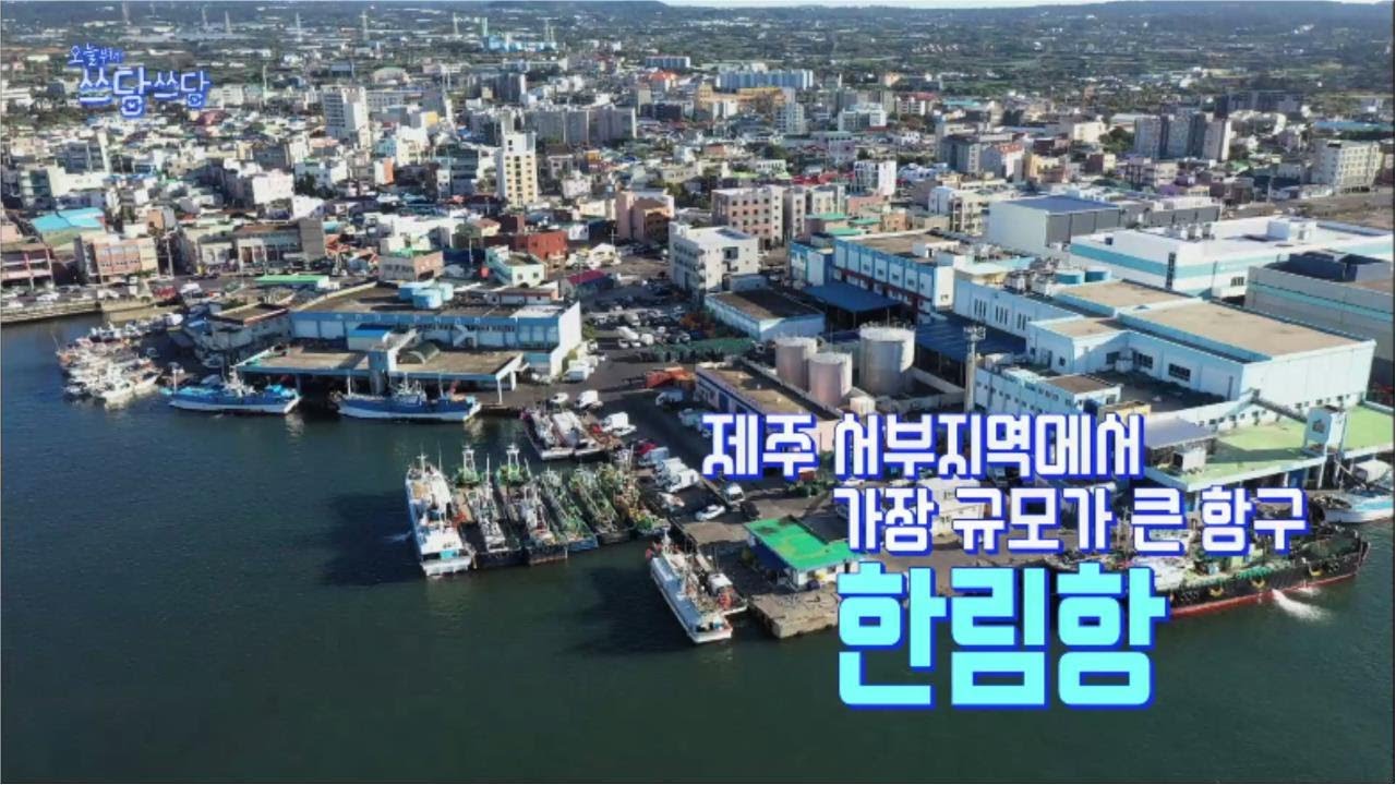 오늘부터 쓰담쓰담  [제주 바다 쓰레기의 현주소, 한림항 1] KBS제주 211109방송