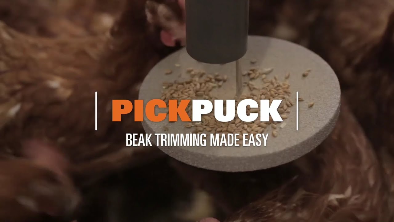 PickPuck Enrichment Device